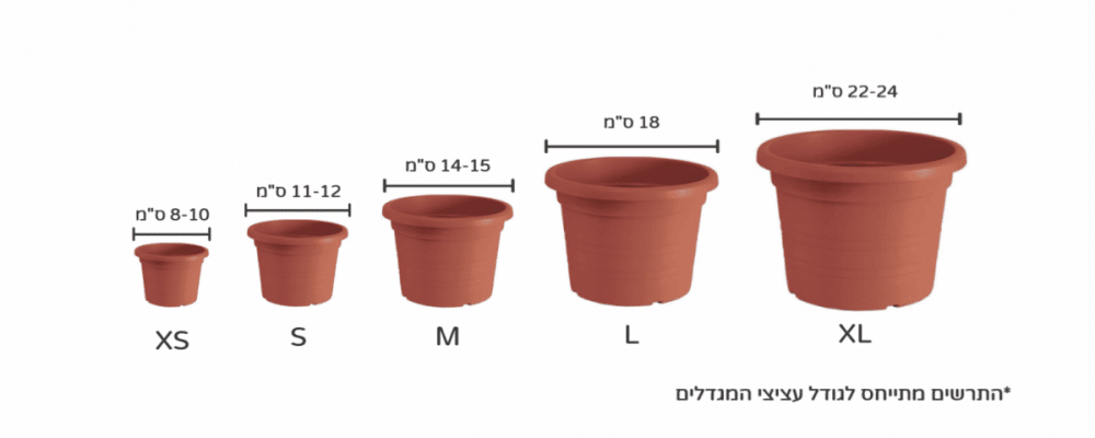 קוטר עציצים צמחי בית