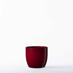 בזל אדום מבריק