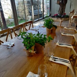 30 צמחי תבלין