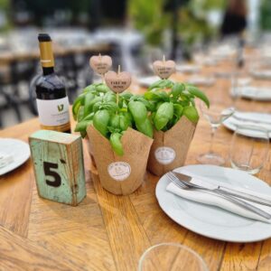 35 צמחי תבלין לאירועים - עיצוב לשולחן