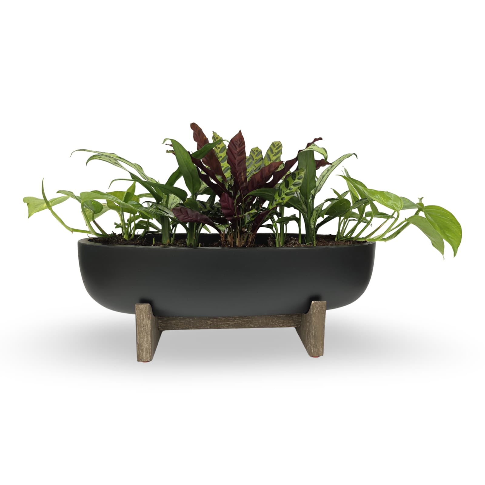 כלי לעציצים- אוניית נטע